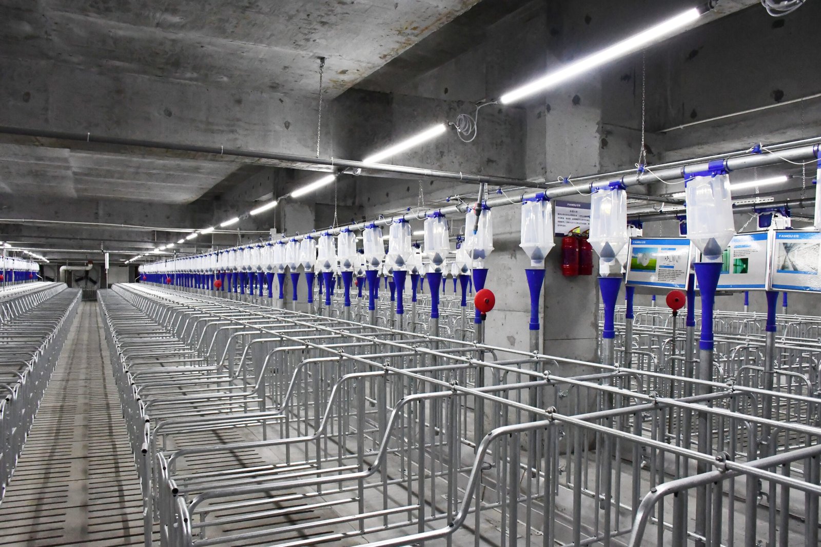 Gestation-stall equipment in a sow housing area