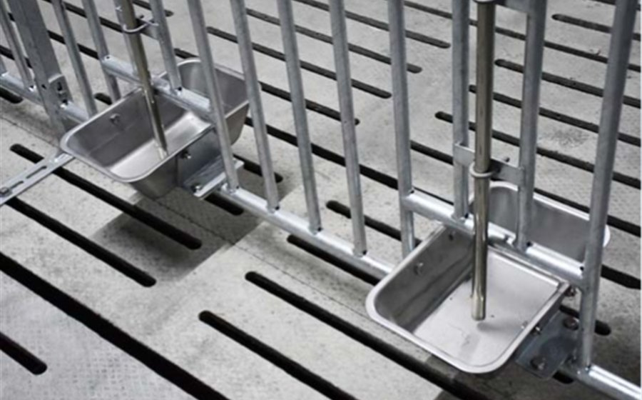 pig drinking bowl and water cup for pig house