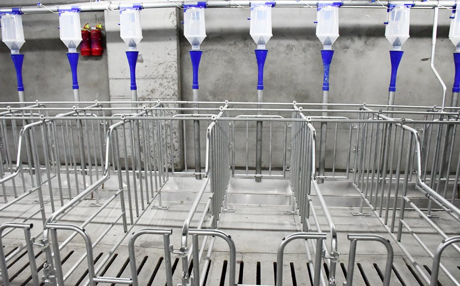 pig farrowing crate and gestation stall equipment