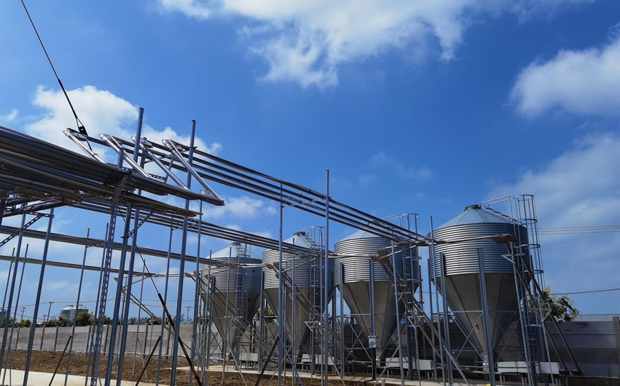 automatic pig feeding system for swine farm