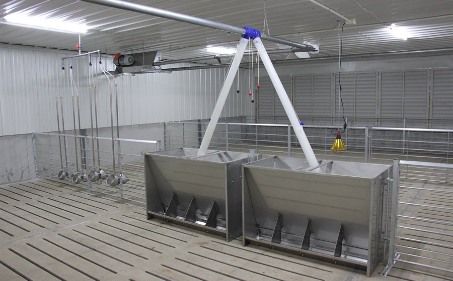 nursery pig feeders for weaning pig house