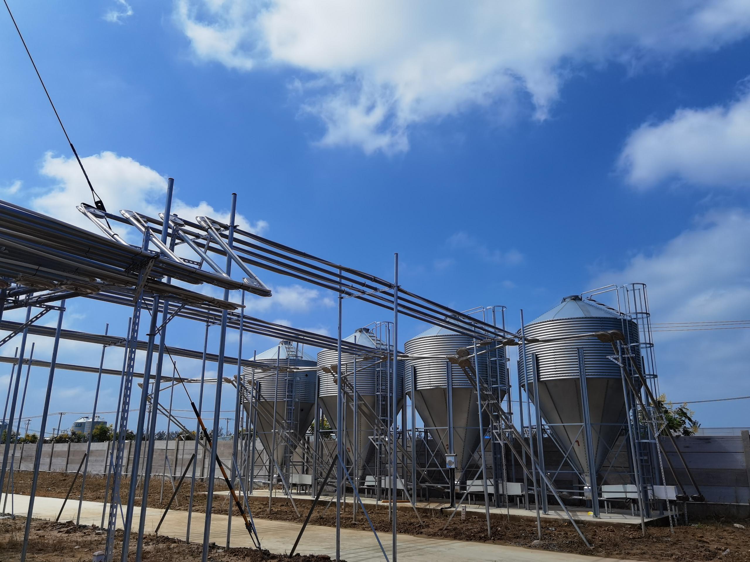 Feed silo system for pig farm equipment projects