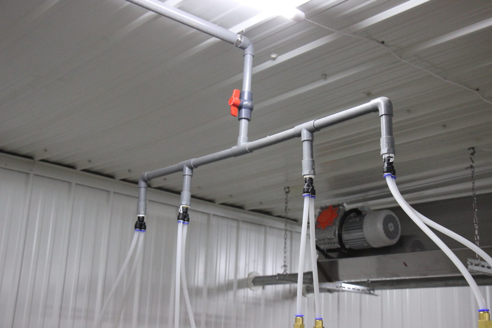 Water-line branches and drinking connections inside a pig house