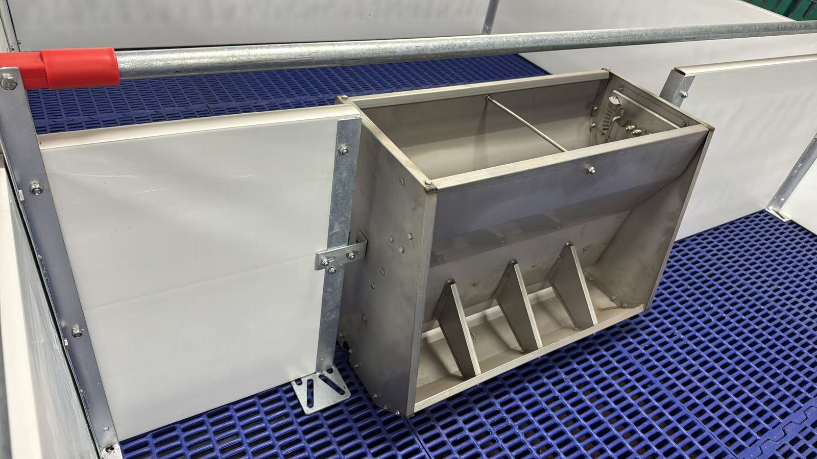 Stainless steel four-space nursery pig feeder installed in a nursery pen