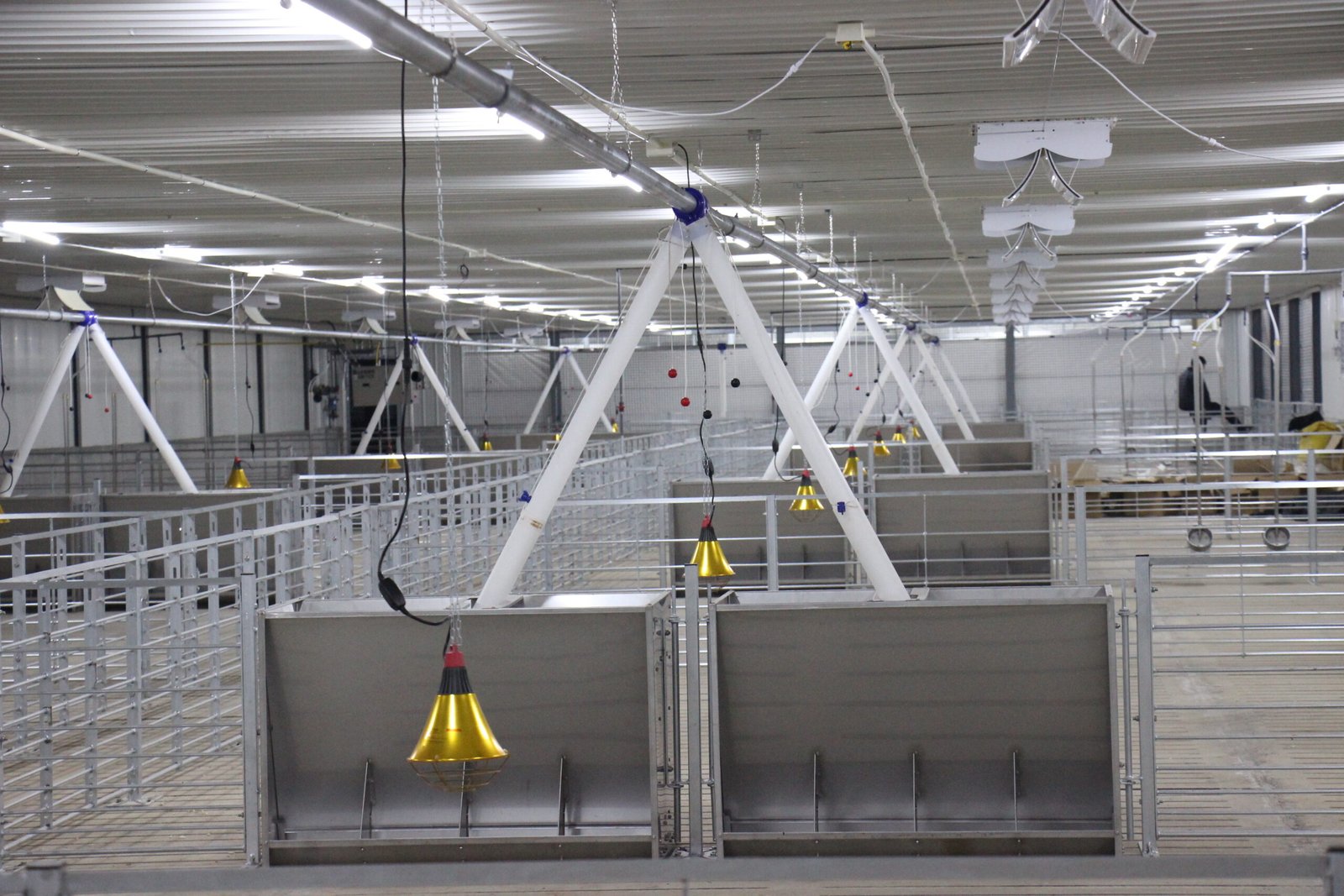 Stainless steel nursery pig feeder for an automatic feed-line configuration