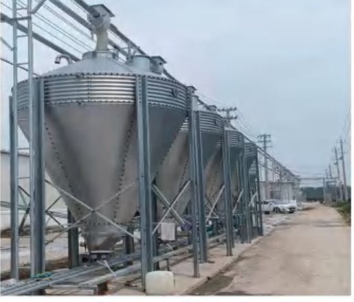 Pig feed silos and external feed delivery pipes at a farm project