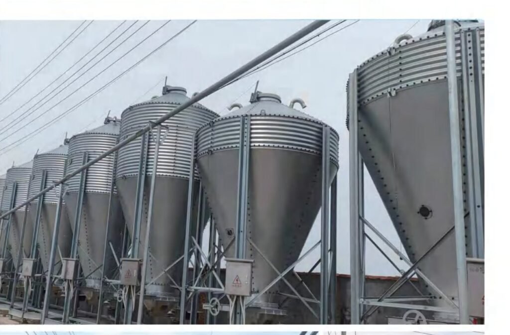 Feed silos connected to an outdoor pig feed delivery line