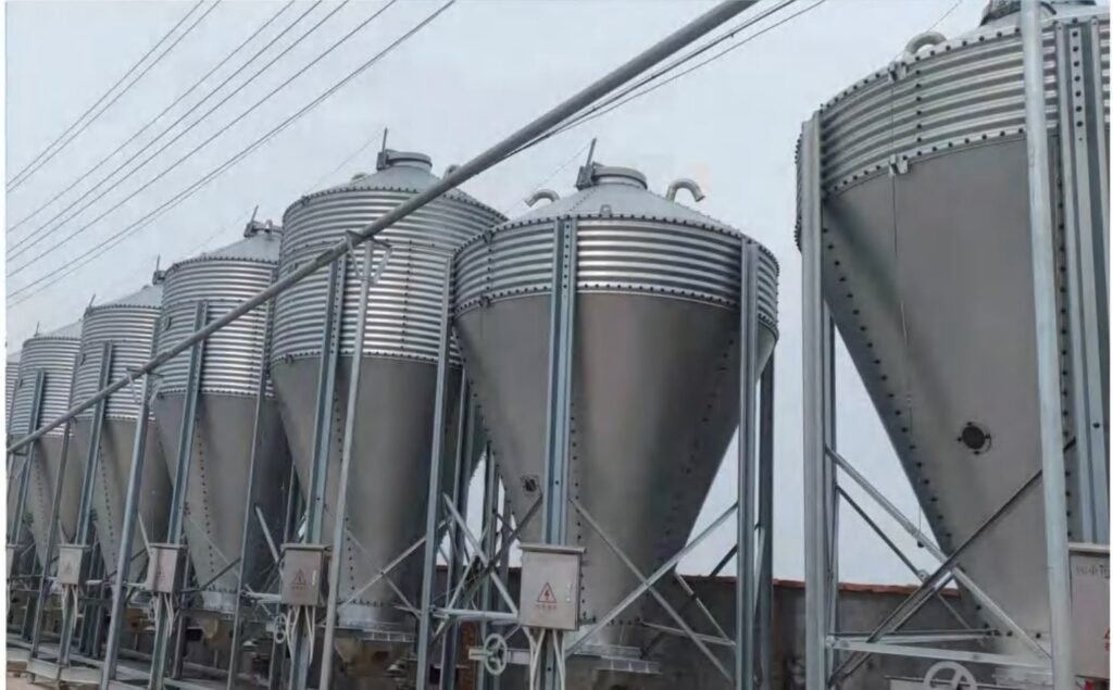 Galvanized feed silos installed beside pig houses