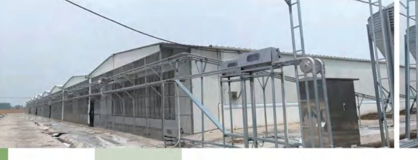 External feed delivery line installed beside a pig house