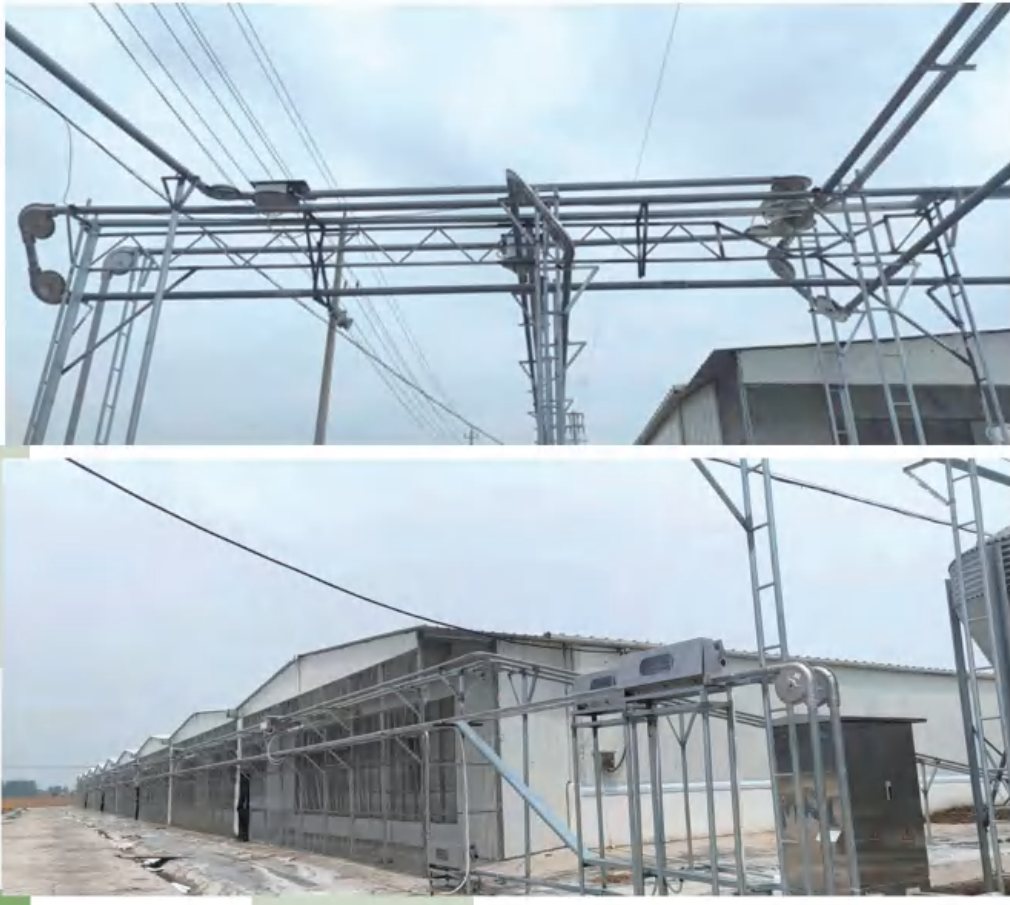Feed delivery line running from outdoor silos toward pig houses